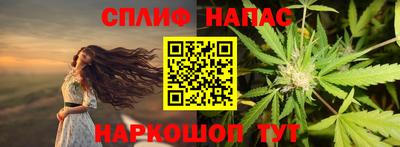 МДПВ Рыбинск