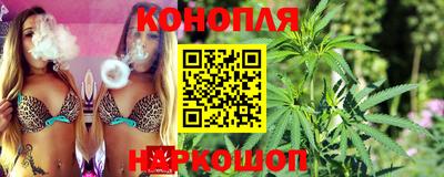 МДПВ Рыбинск