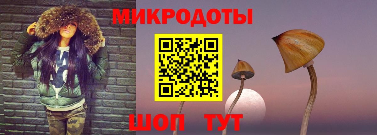 Павлово  Псилоцибиновые грибы Magic Shrooms  Галлюциногенные грибы ЛСД  купить наркоту  Вход с VPN 